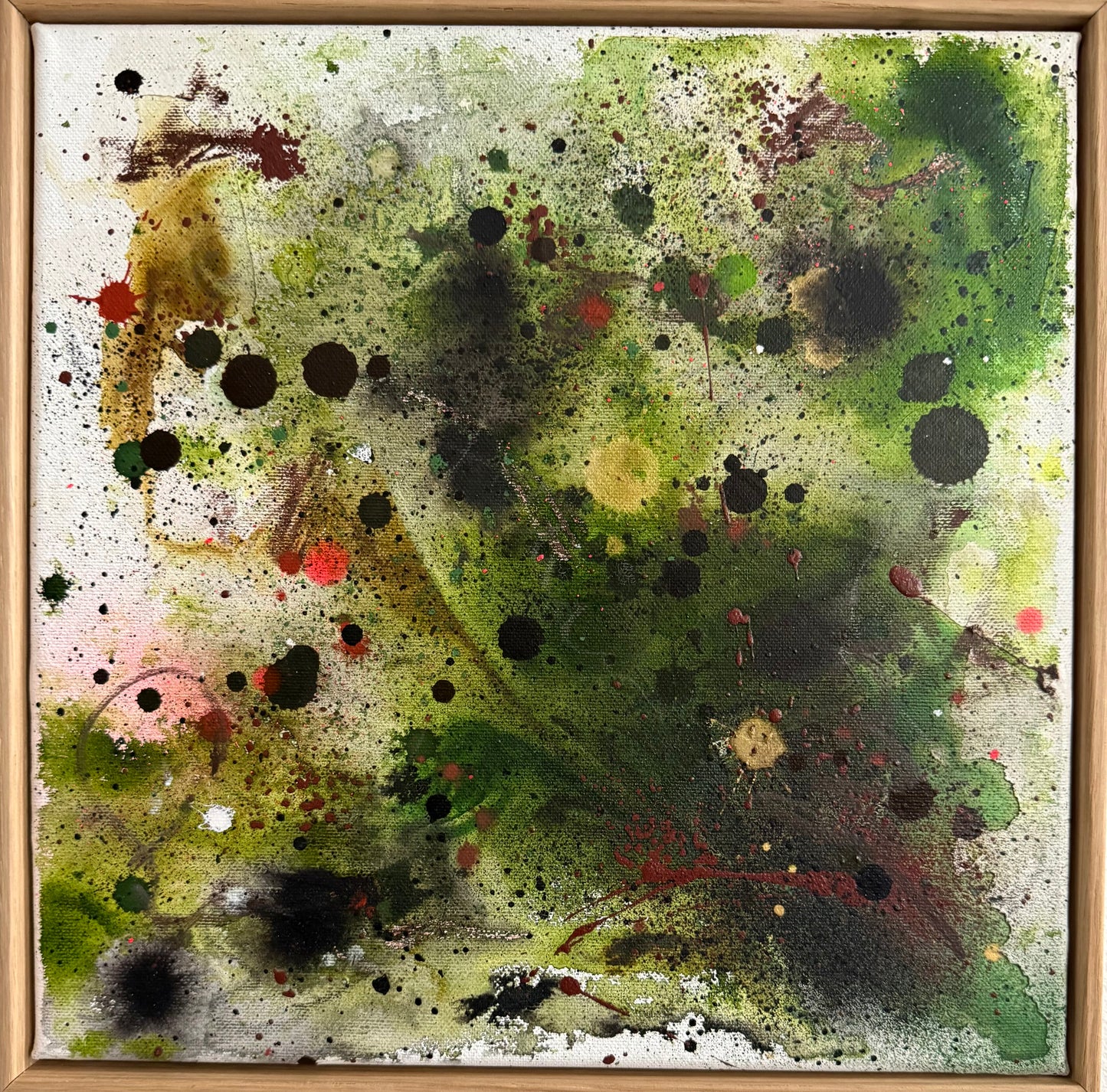 Freknótt II / Freckled II
