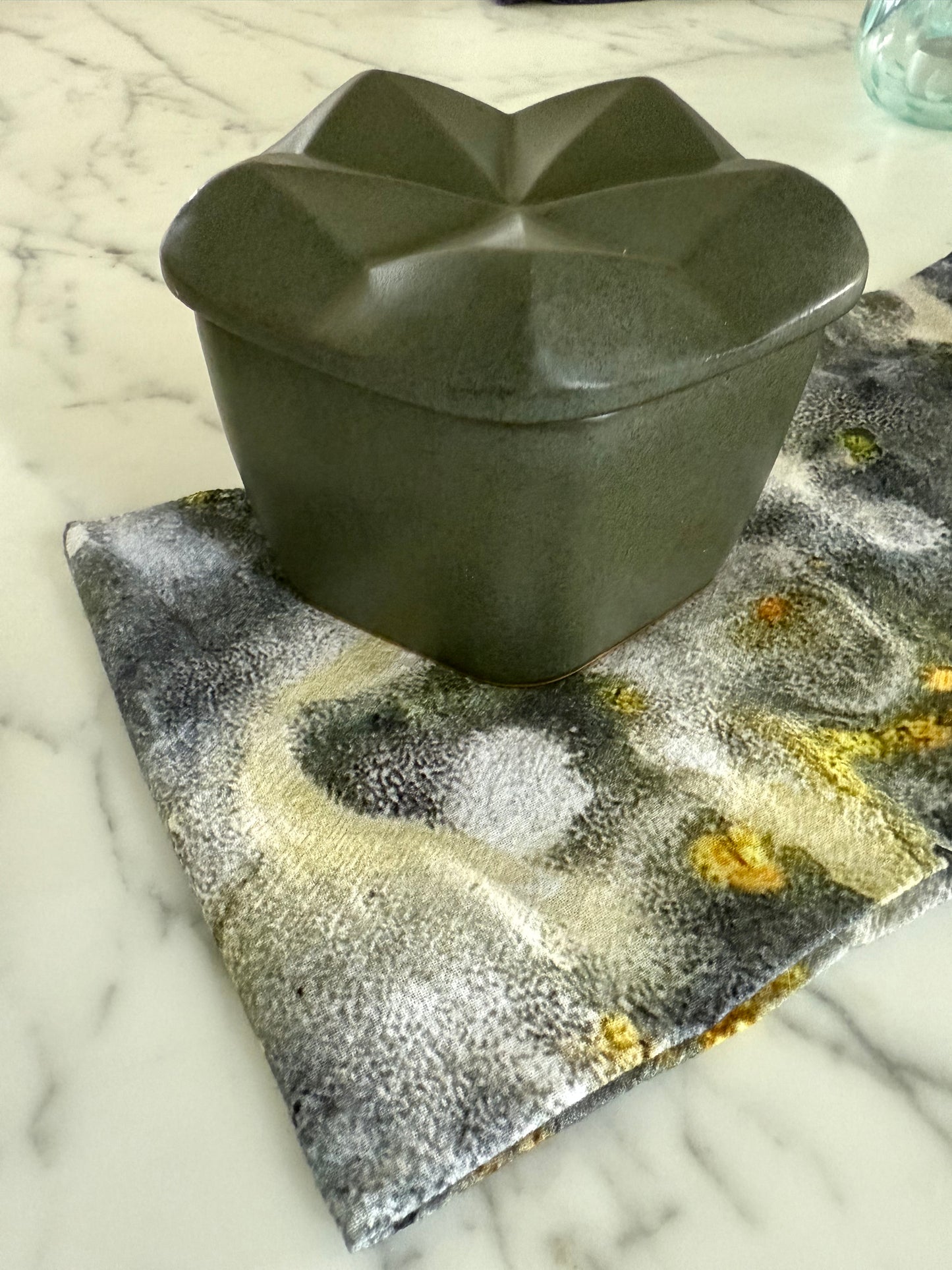 Gular skófir viskustykki - Yellow lichen dishcloth