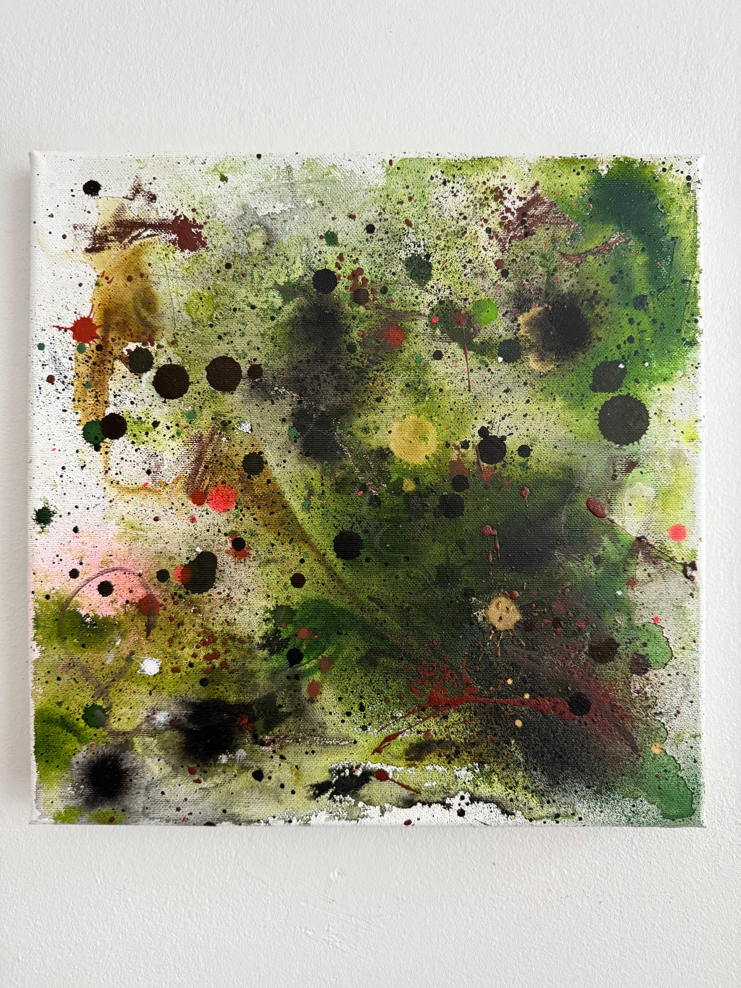 Freknótt II / Freckled II